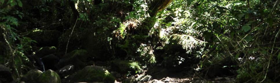 Atravessando o pequeno riacho no Vale da Luva, parte alta do Parque Nacional da Serra dos Órgãos, no Rio de Janeiro